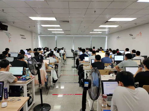 新起点，新梦想 在黑马程序员技术社区扬帆起航